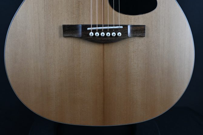 Eastman PCH1-GACE Thermo-Cure Natural Auditorium Acoustic #772