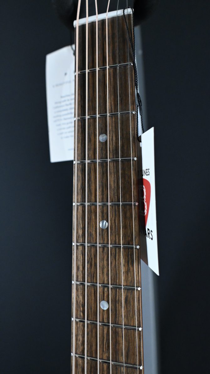 Eastman PCH1-GACE Thermo-Cure Natural Auditorium Acoustic #772