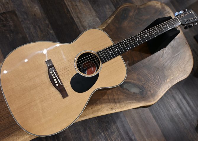 Eastman PCH2-OM Thermo-Cure Natural Acoustic #366