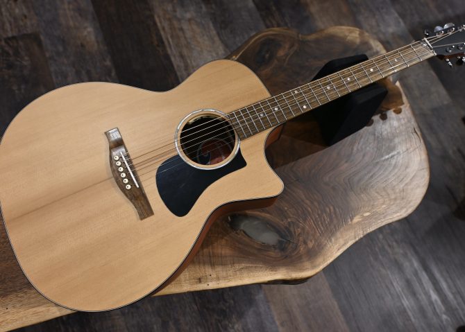 Eastman PCH1-GACE Thermo-Cure Natural Auditorium Acoustic #772