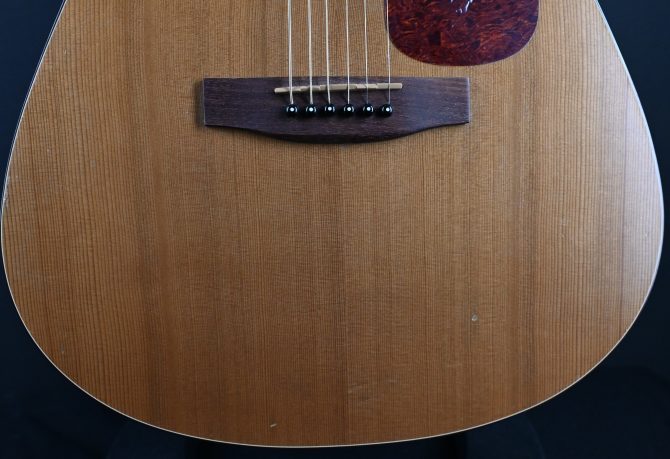 Seagull S6 Original With Hardshell Case