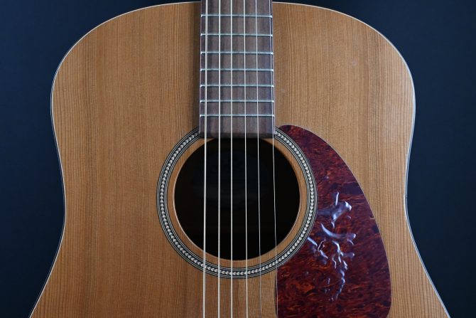 Seagull S6 Original With Hardshell Case