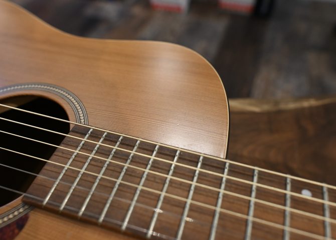 Seagull S6 Original With Hardshell Case