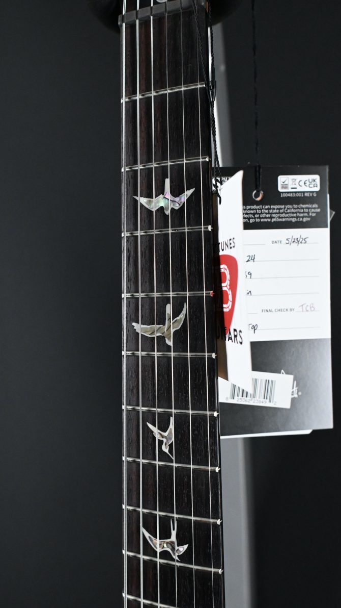 PRS Custom 24 10-Top Aurora Borealis Electric Guitar #469