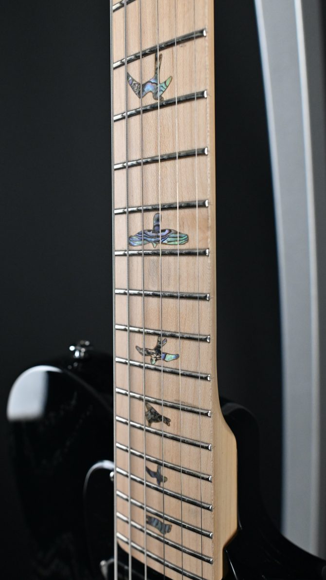 PRS SE NF 53 Black Doghair #584