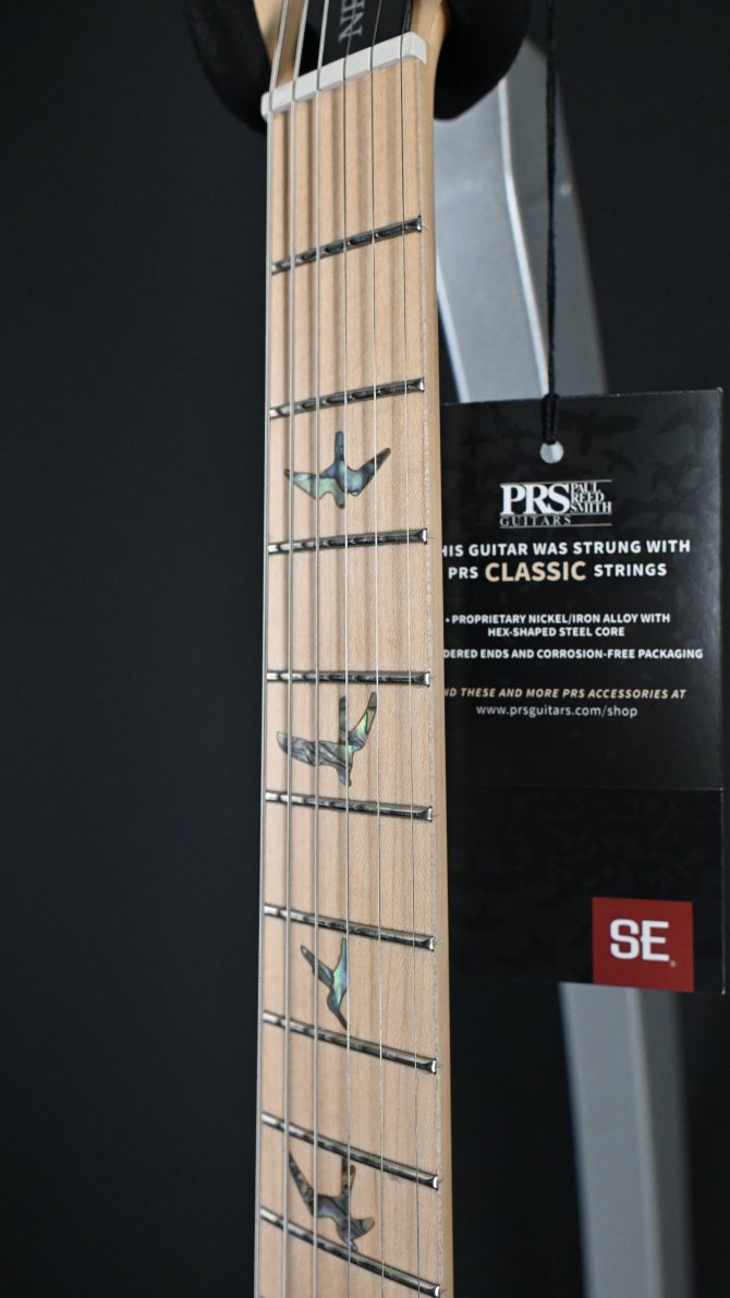 PRS SE NF 53 Black Doghair #584