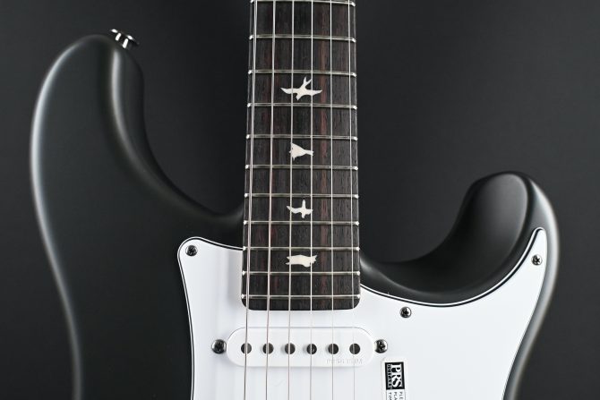PRS Silver Sky Rosewood Faded Black Tee Satin #297