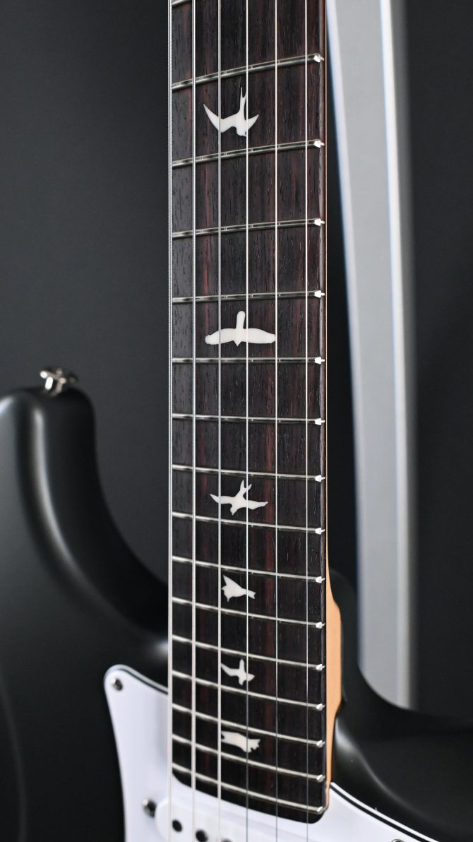 PRS Silver Sky Rosewood Faded Black Tee Satin #297