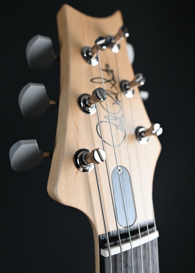 PRS Silver Sky Rosewood Faded Black Tee Satin #297
