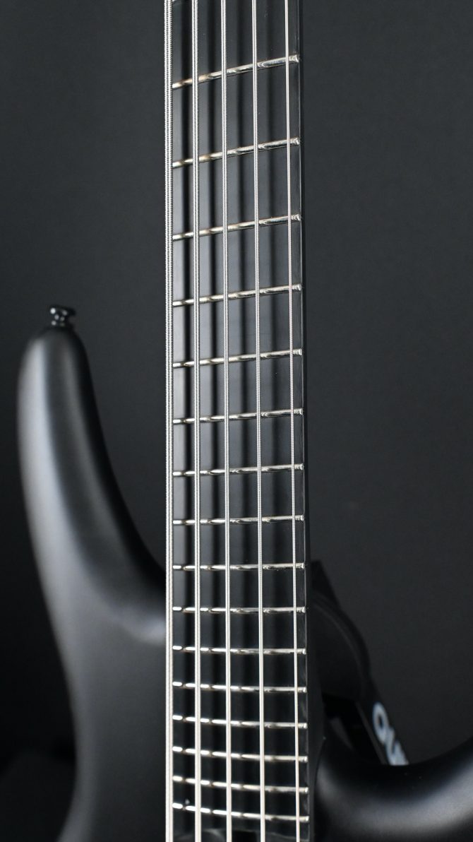 Ibanez Iron Label SRMS625EX-BKF Black Flat 5-String Bass #316