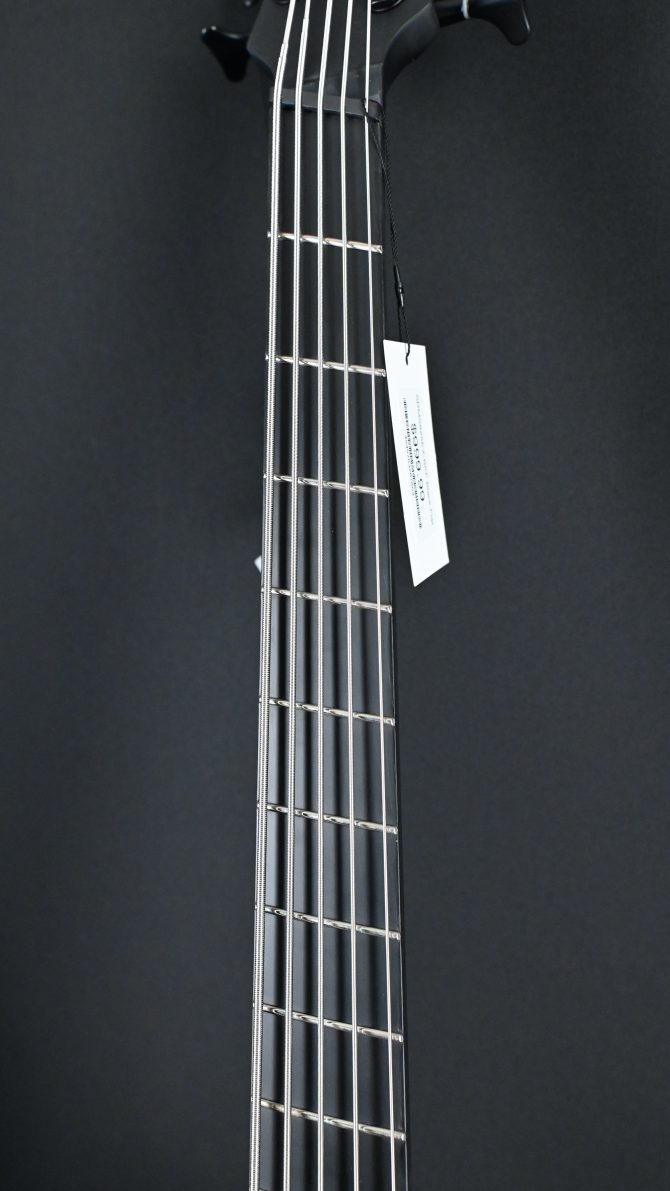 Ibanez Iron Label SRMS625EX-BKF Black Flat 5-String Bass #316