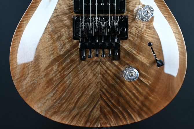 PRS Private Stock #12085 Custom 24 'Floyd' Koa