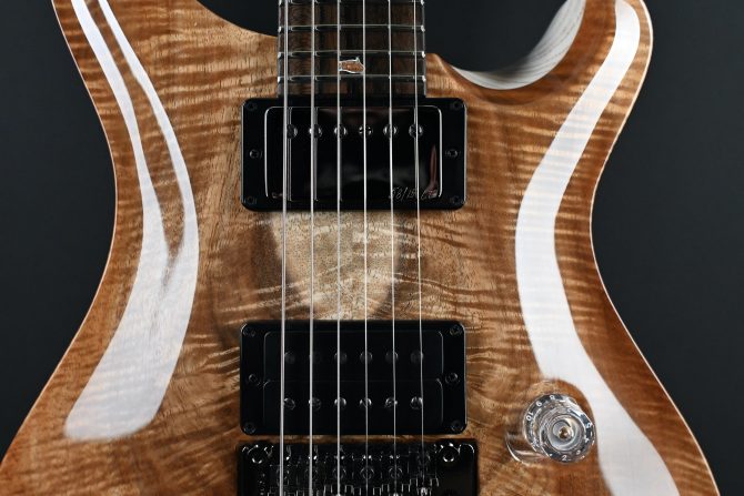 PRS Private Stock #12085 Custom 24 'Floyd' Koa
