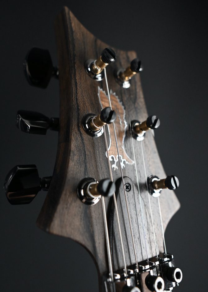 PRS Private Stock #12085 Custom 24 'Floyd' Koa
