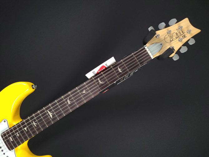 PRS SE Silver Sky Rosewood Dandy Lion #486