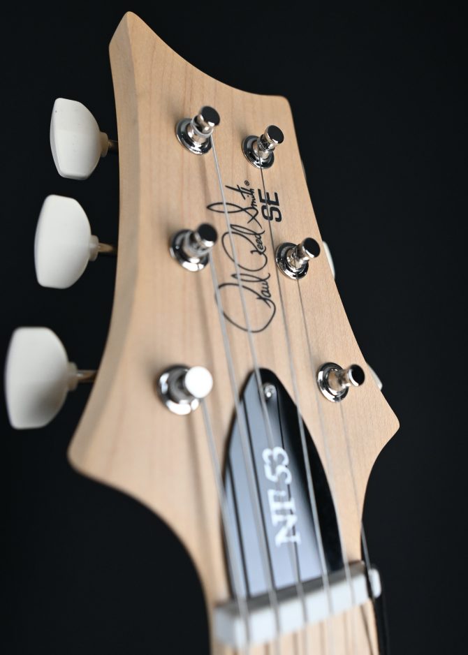 PRS SE NF 53 Black Doghair #861