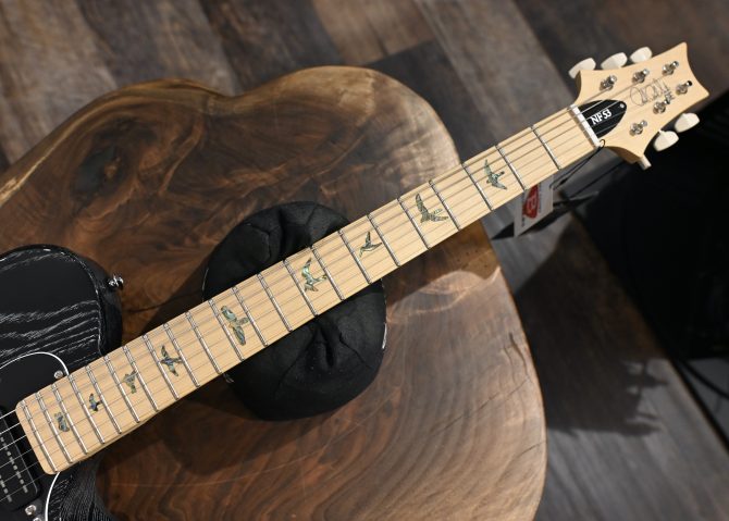 PRS SE NF 53 Black Doghair #861