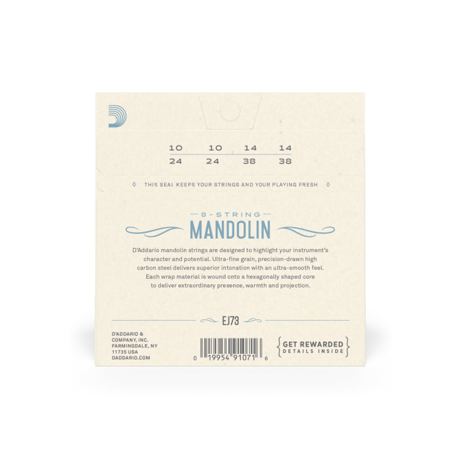D’addario EJ73 10-38 Light Set Mandolin Strings