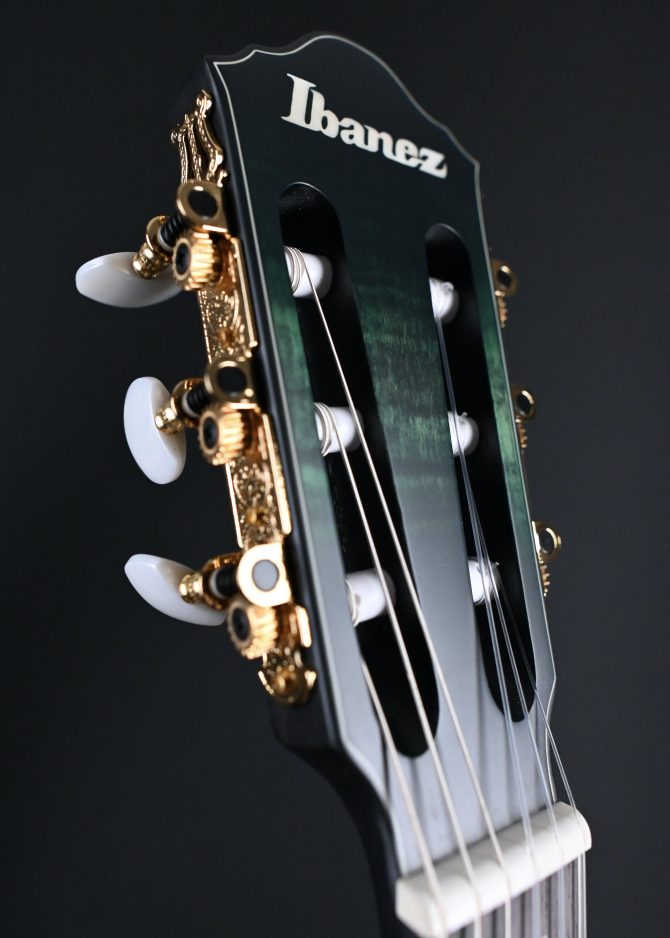 Ibanez FRH20FMN-DGL Dark Emerald Glow Low Gloss #141