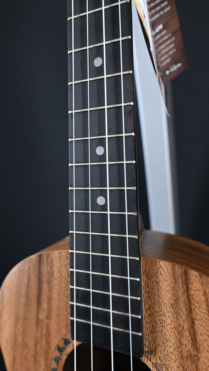Kala KA-TEAK-B Teak Baritone Ukulele #404