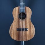 Kala KA-TEAK-B Teak Baritone Ukulele #501
