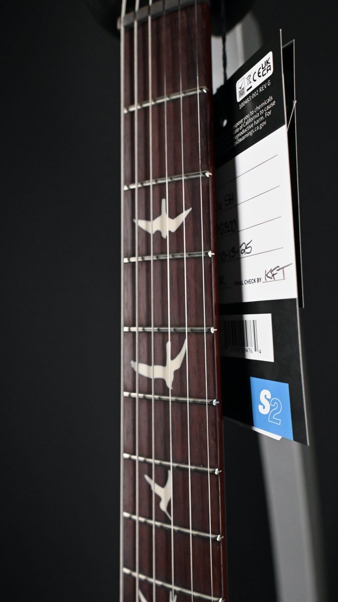 PRS S2 Vela Semi Hollow Rainbow Hollowflake #300