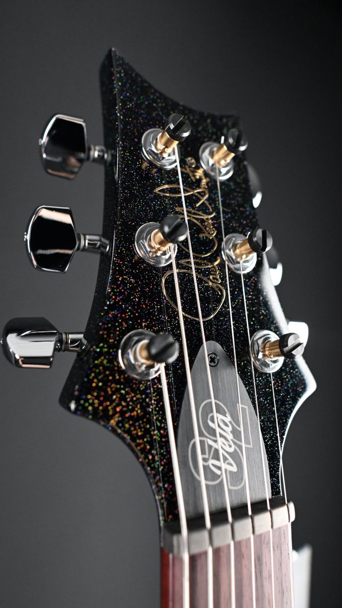 PRS S2 Vela Semi Hollow Rainbow Hollowflake #300