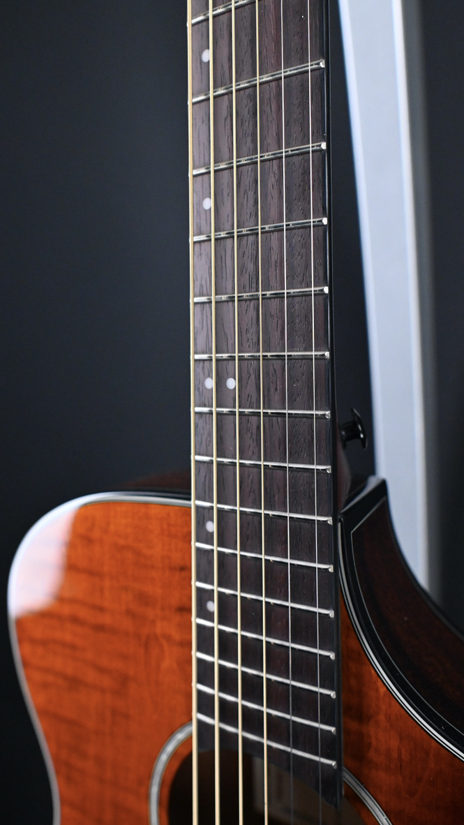 AEWC32FM-ASF Flamed Maple / Sapele Auditorium