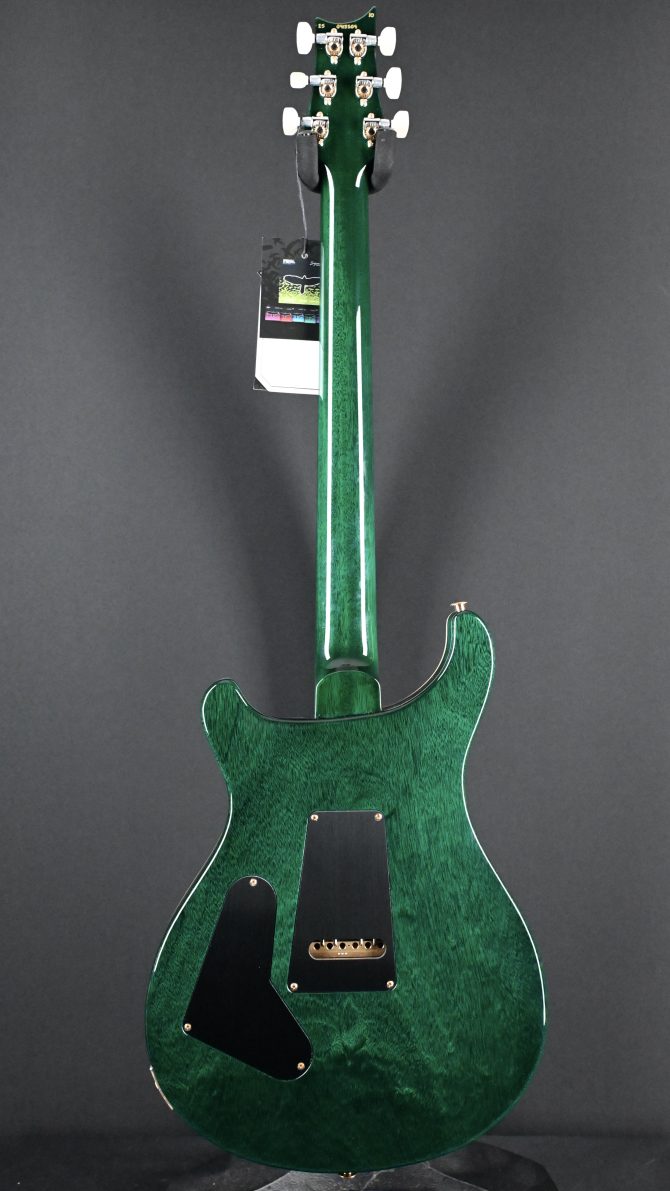 PRS Custom 24 10-Top Aurora Borealis w/ Green Back #504