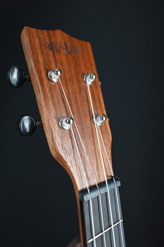 Kala KA-TEAK-B Teak Baritone Ukulele #501
