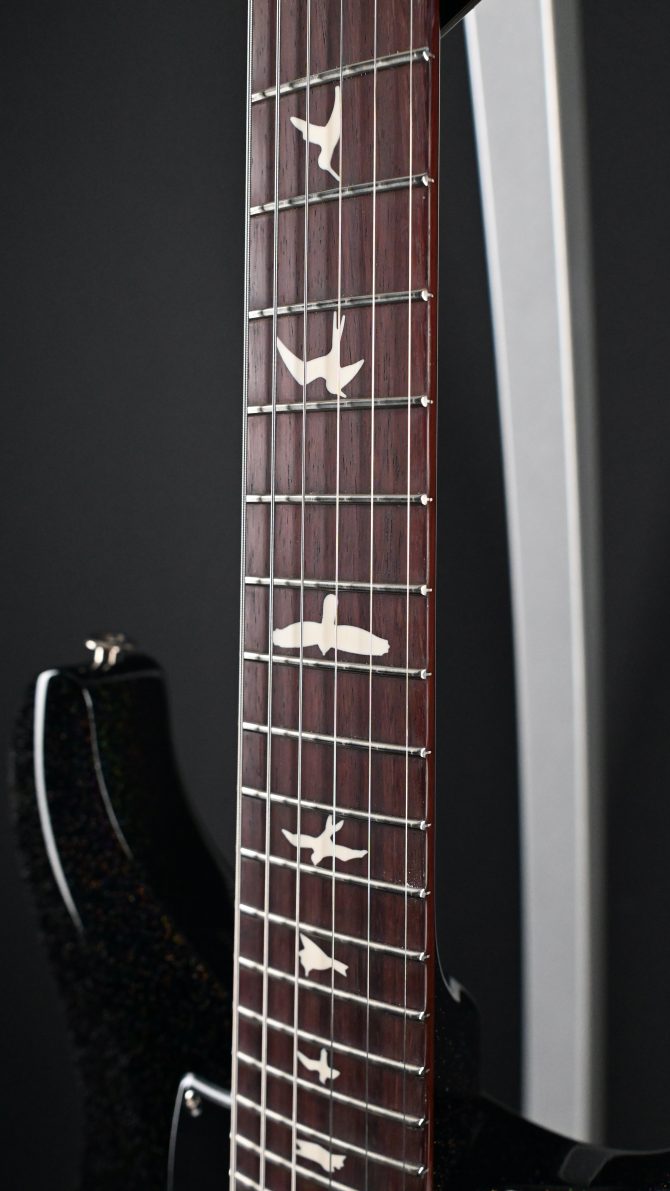 PRS S2 Vela Semi Hollow Rainbow Hollowflake #300