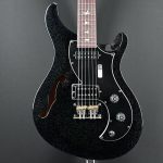 PRS S2 Vela Semi Hollow Rainbow Hollowflake #300