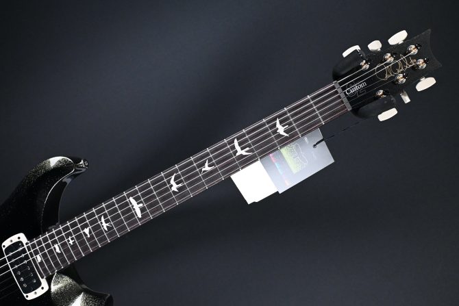 PRS S2 Custom 24-08 Sprayer's Choice Hollowflake
