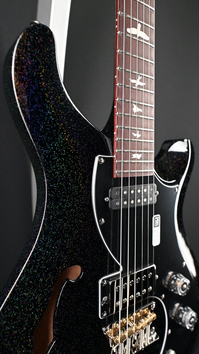PRS S2 Vela Semi Hollow Rainbow Hollowflake #300