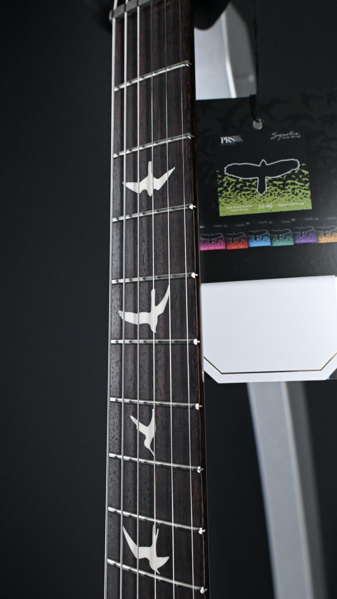 PRS S2 Custom 24-08 Sprayer's Choice Hollowflake