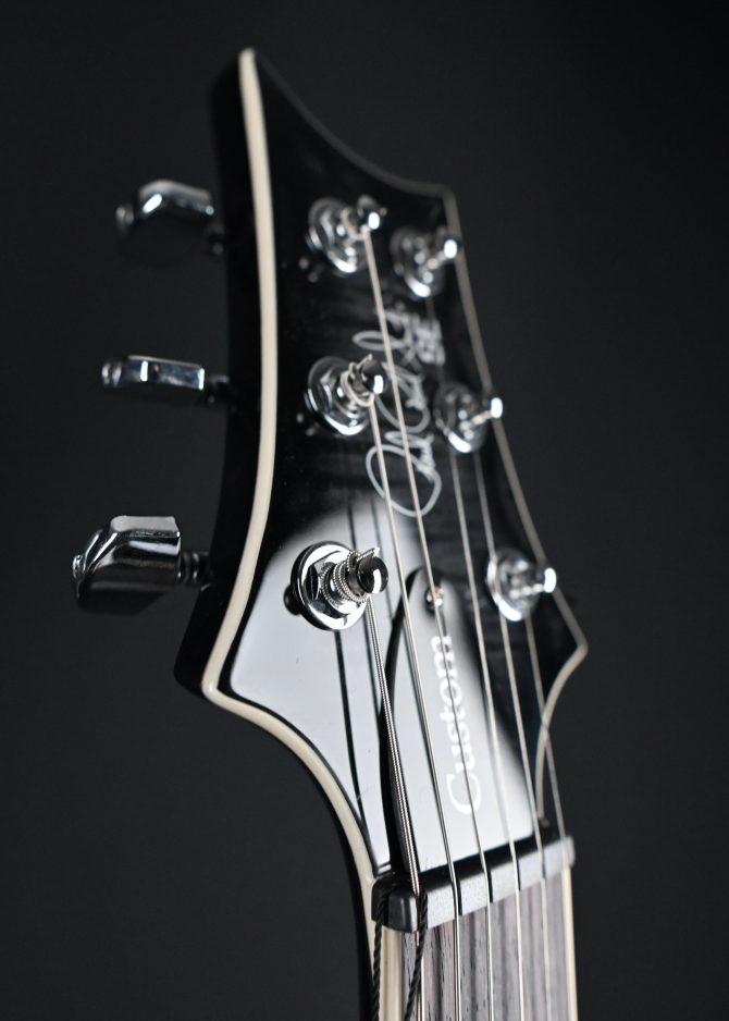 PRS SE Custom 24 Semi-Hollow Piezo Charcoal Burst #220