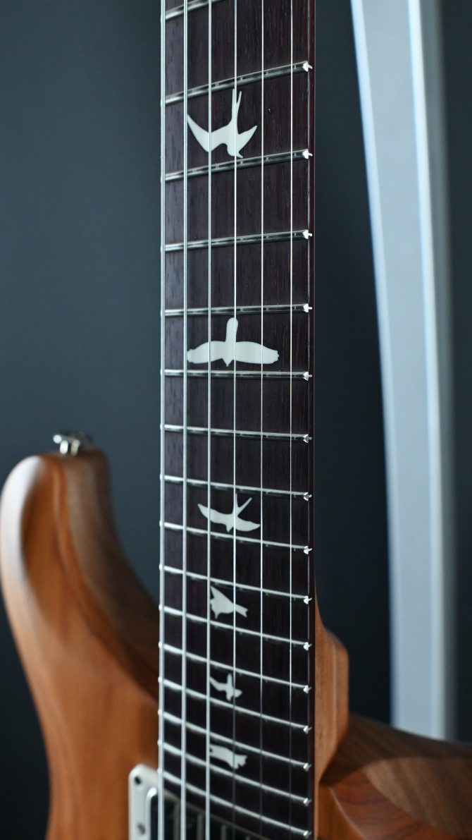 PRS S2 Special Semi-Hollow Reclaimed Limited Edition #456