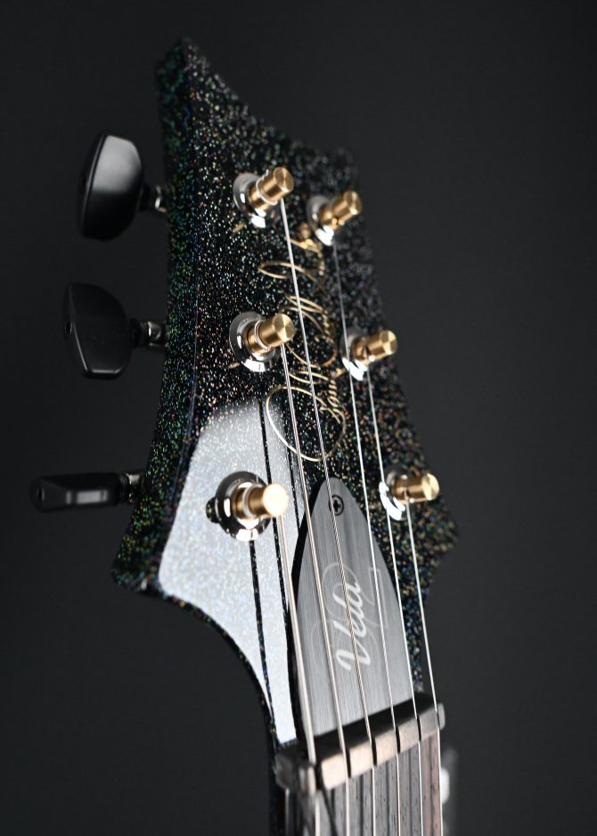 PRS S2 Vela Semi Hollow Rainbow Hollowflake #618