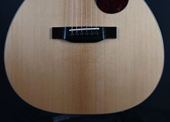 Eastman E1OMCE-DLX Deluxe Natural Orchestra Model #490