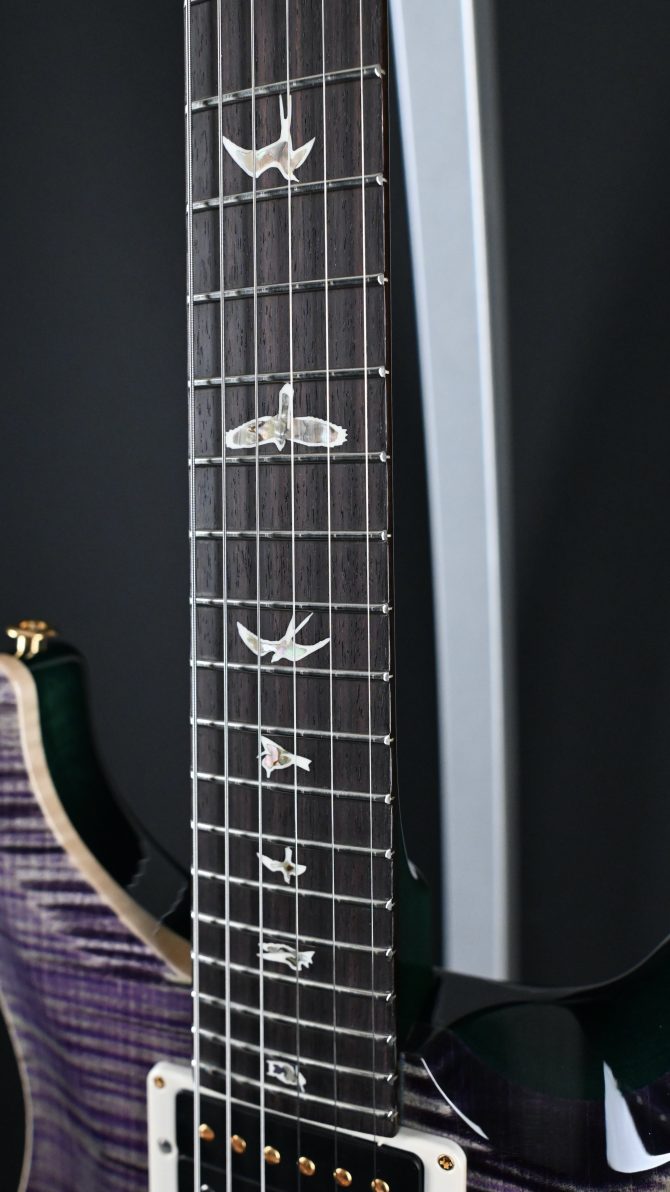 PRS Custom 24 10-Top Aurora Borealis w/ Green Back #504