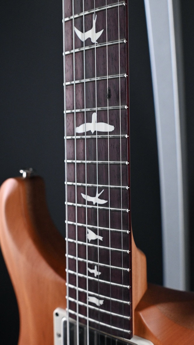 PRS S2 Special Semi-Hollow Reclaimed Limited Edition #799