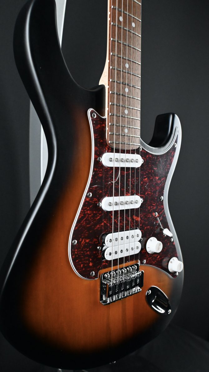 Cort G110OPSB Open Pore Sunburst #483