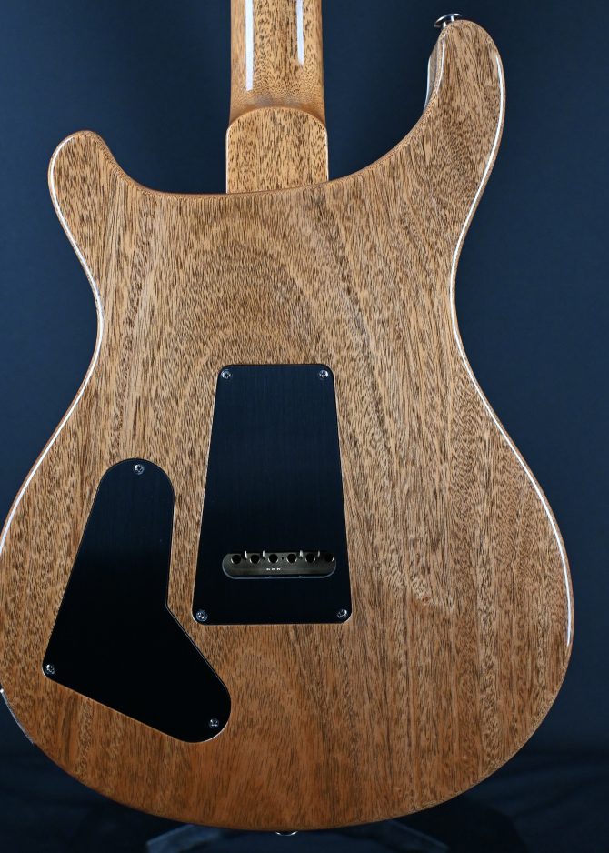 PRS Semi-Hollow Special Black Rainbow Holoflake #590