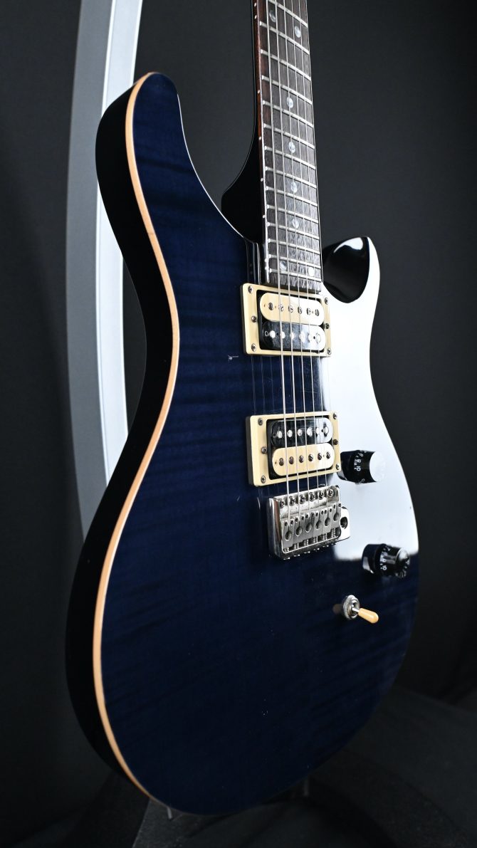 PRS SE Custom 24 Whale Blue 2009