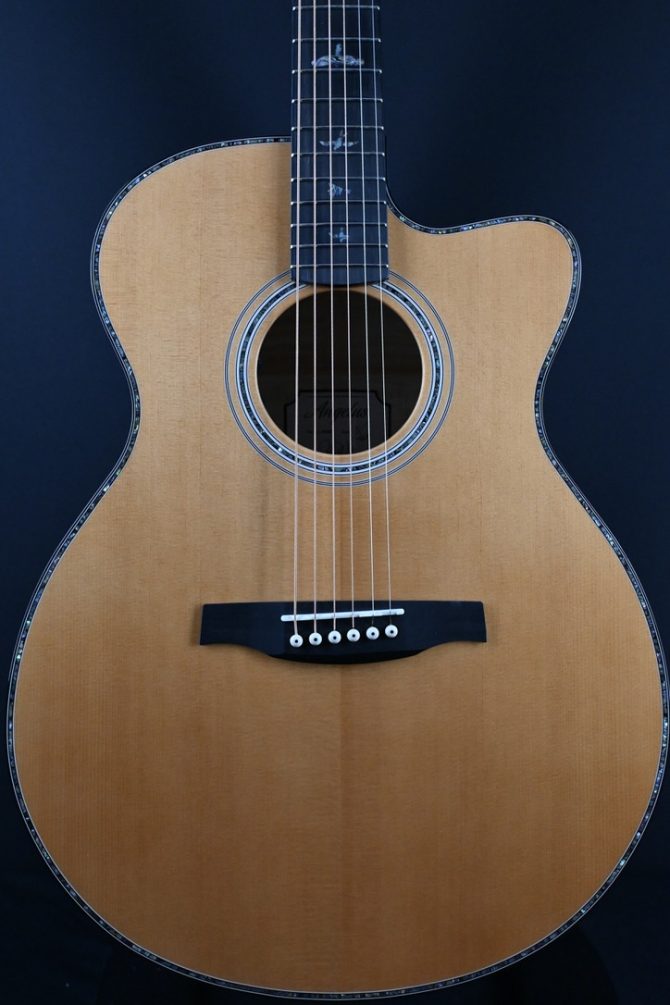 PRS SE A50 Angelus Black Gold #289