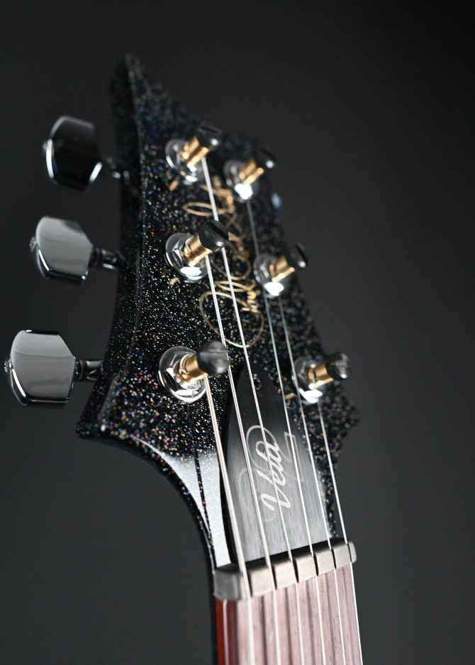 PRS S2 Vela Semi Hollow Rainbow Hollowflake #372 w/ Reclaimed Neck