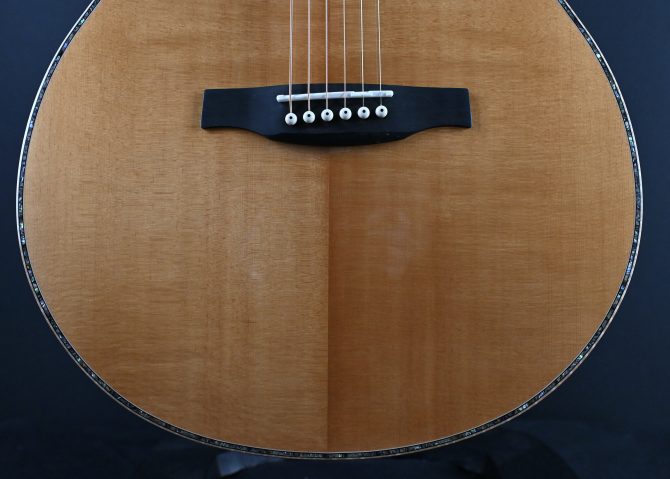 PRS SE T60E Tonare Natural #850