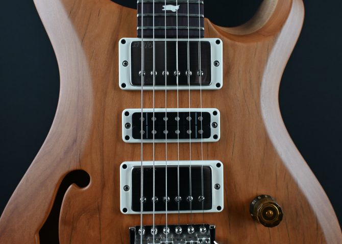PRS S2 Special Semi-Hollow Reclaimed Limited Edition #184 (Copy)