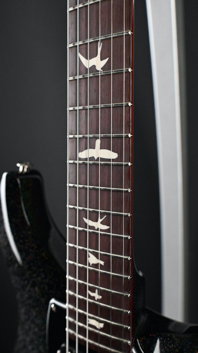 PRS S2 Vela Semi Hollow Rainbow Hollowflake #374