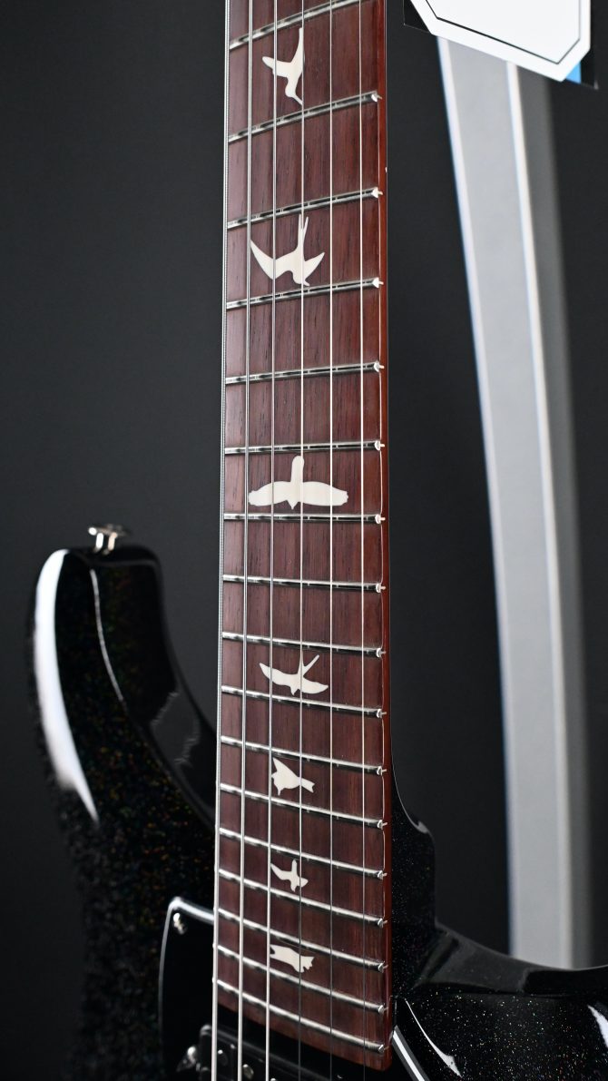 PRS S2 Vela Semi Hollow Rainbow Hollowflake #347 w/ Reclaimed Neck